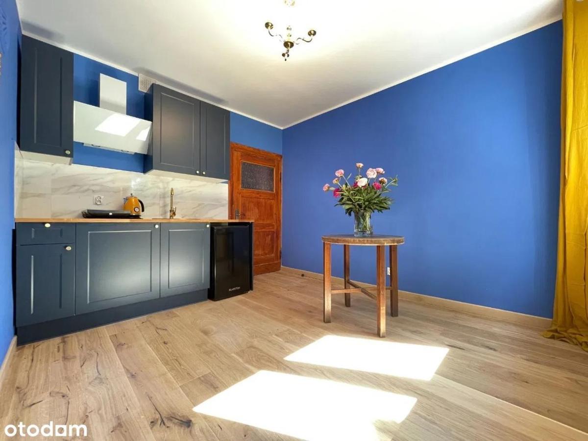 Apartament Kraszewskiego - Retro, Blisko Starowki, Kolo Parku, Ogrod Dla Gosci, Rowery Free Torun Exterior photo